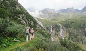 IMG 91433